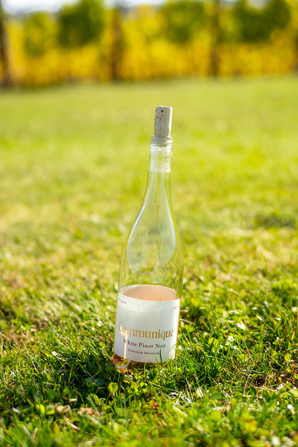 Photos with Communique Wines in McMinville, Oregon, in the Fall of 2020.